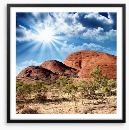 Under the shimmering sun