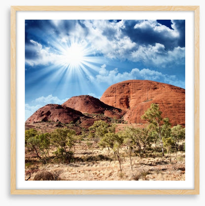 Under the shimmering sun