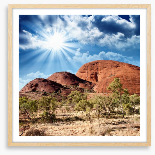 Under the shimmering sun