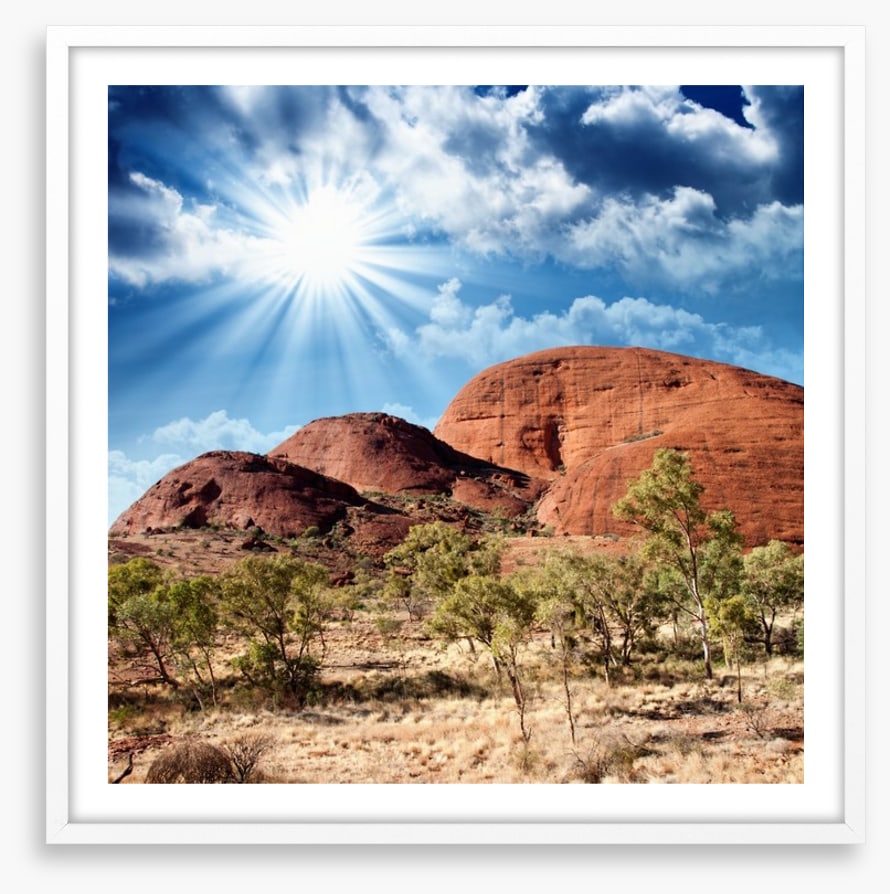 Under the shimmering sun