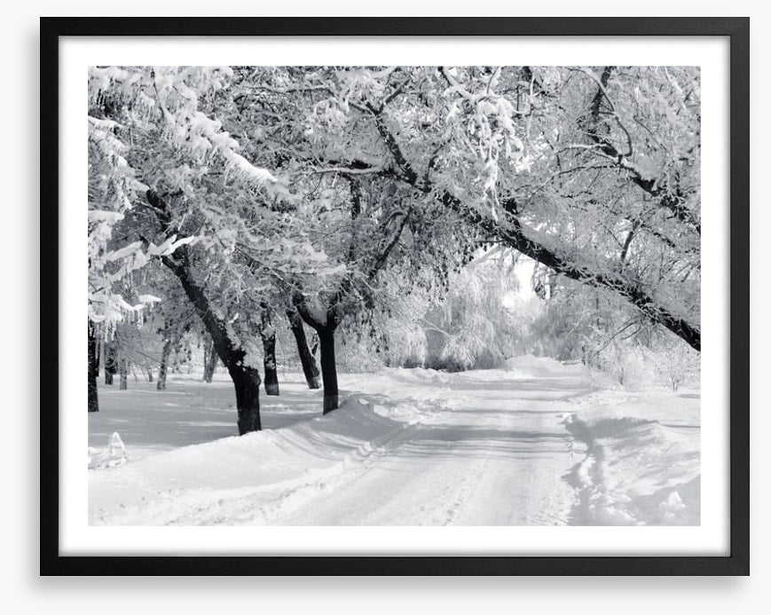 Winter wonderland