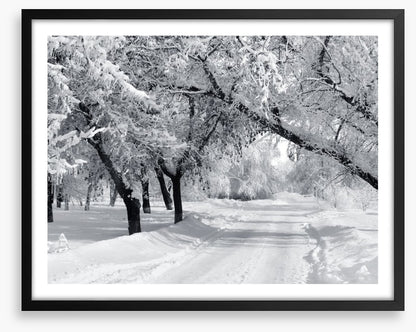 Winter wonderland