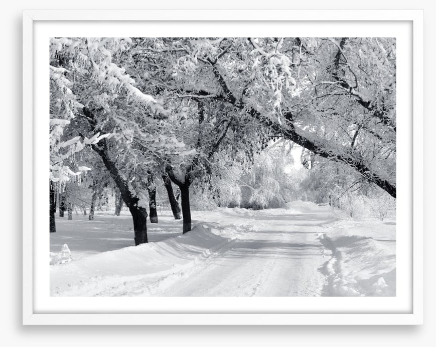 Winter wonderland