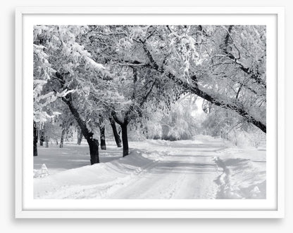 Winter wonderland