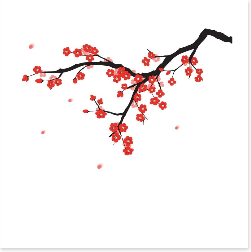 Plum blossoming