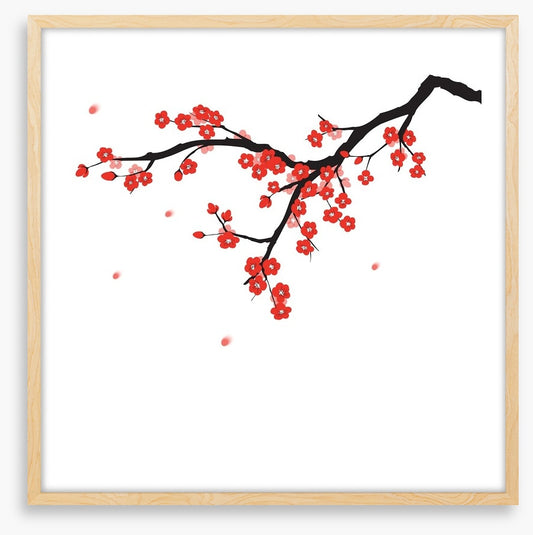 Plum blossoming