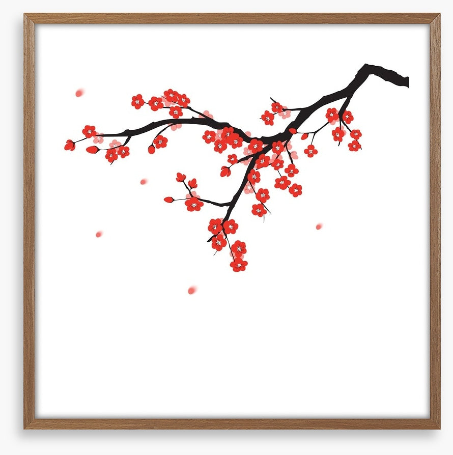 Plum blossoming