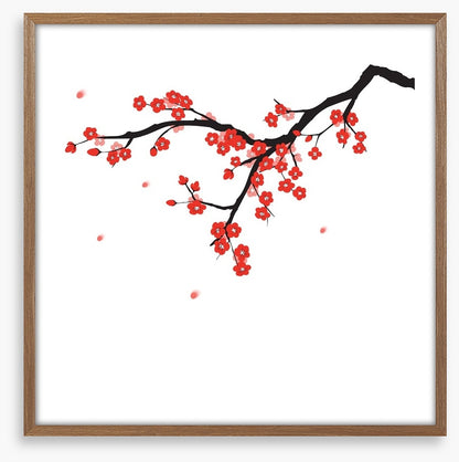 Plum blossoming