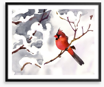 Red snow bird