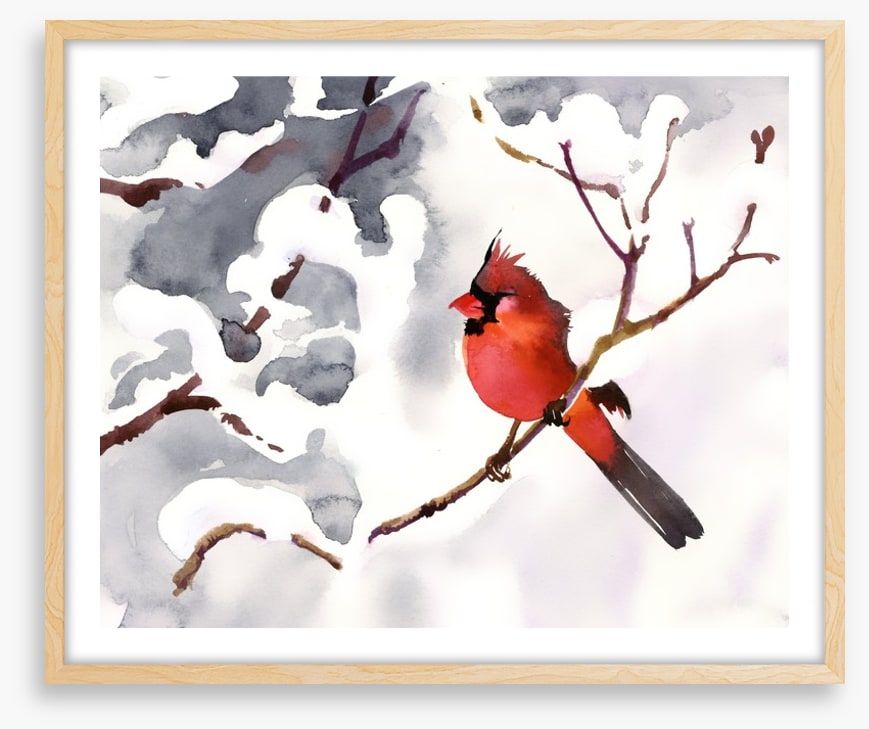 Red snow bird