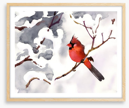Red snow bird