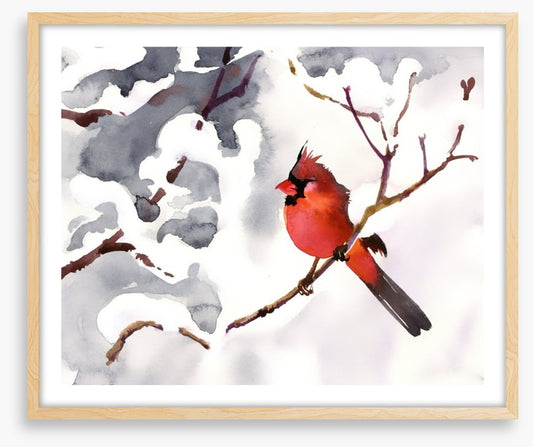 Red snow bird