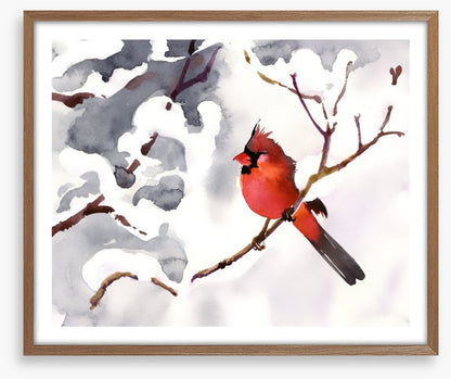 Red snow bird
