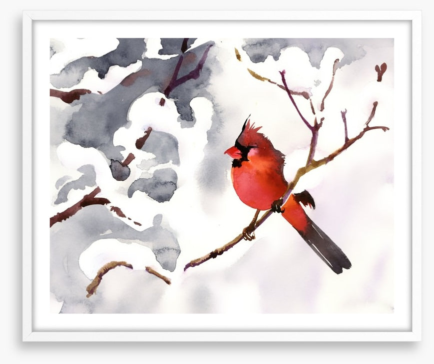 Red snow bird