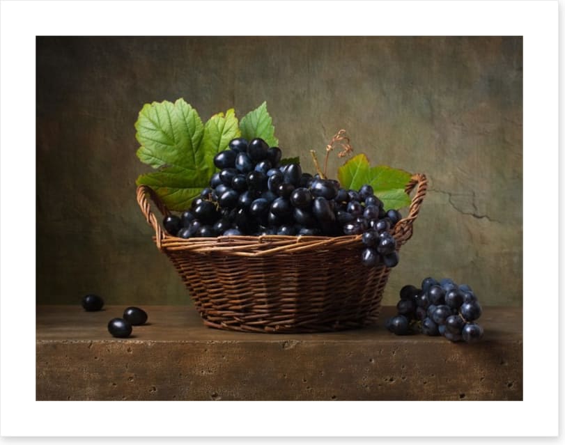 Still Life