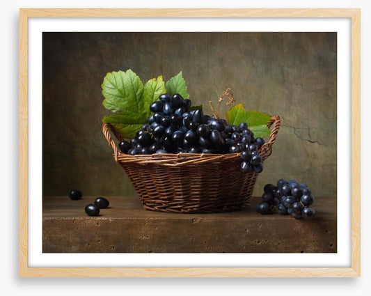 Still Life