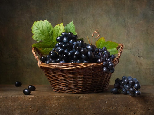 Still Life
