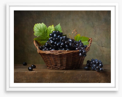 Still Life
