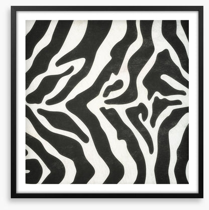 Animal Print