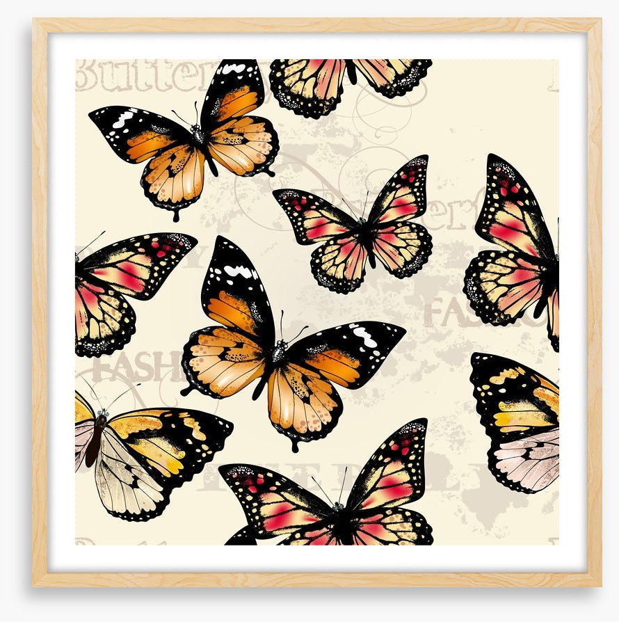 Butterflies
