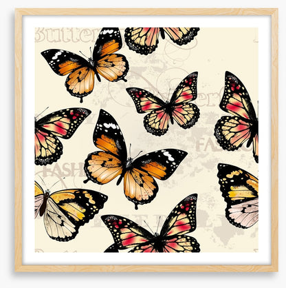 Butterflies