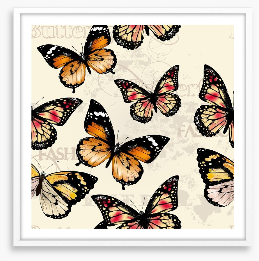 Butterflies