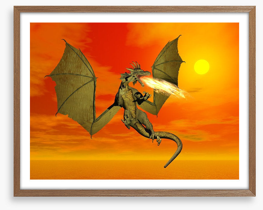 Dragons