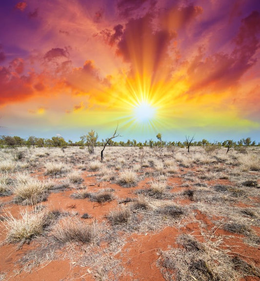 The colours of earth and sky