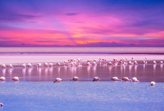 South America