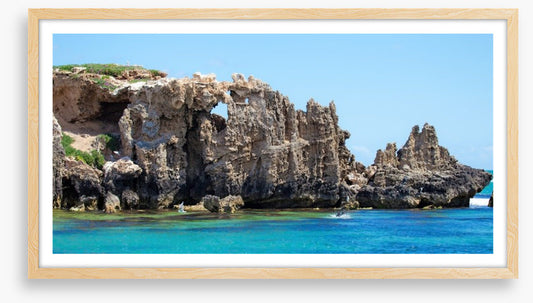 Penguin Island panorama