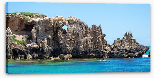 Penguin Island panorama