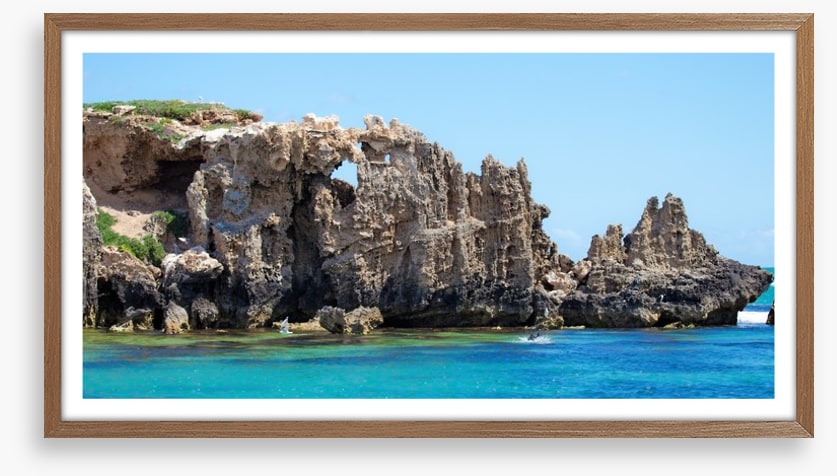 Penguin Island panorama