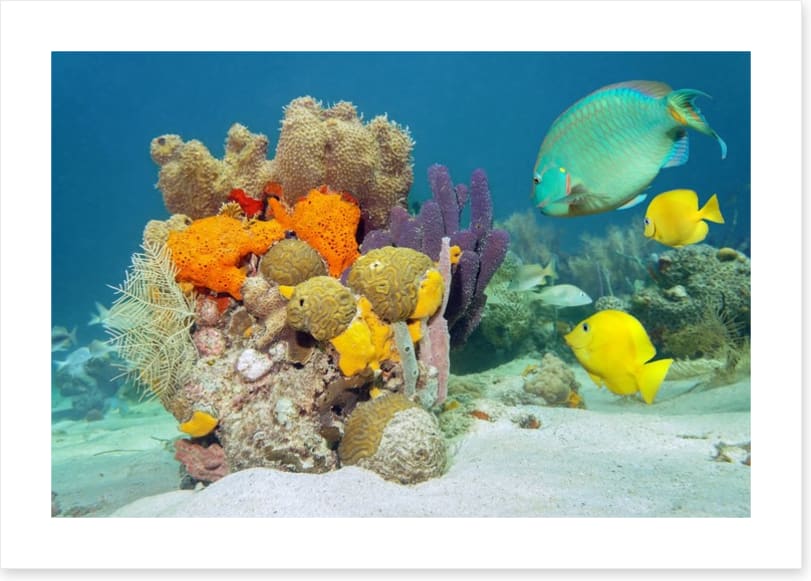 Underwater