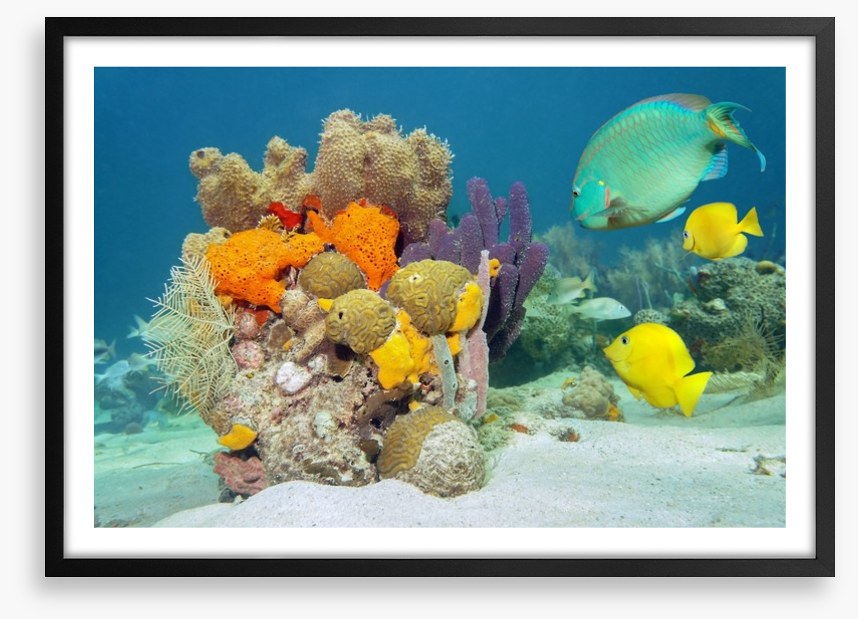 Underwater
