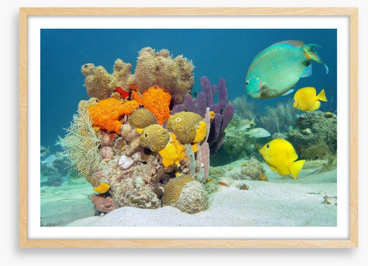 Underwater