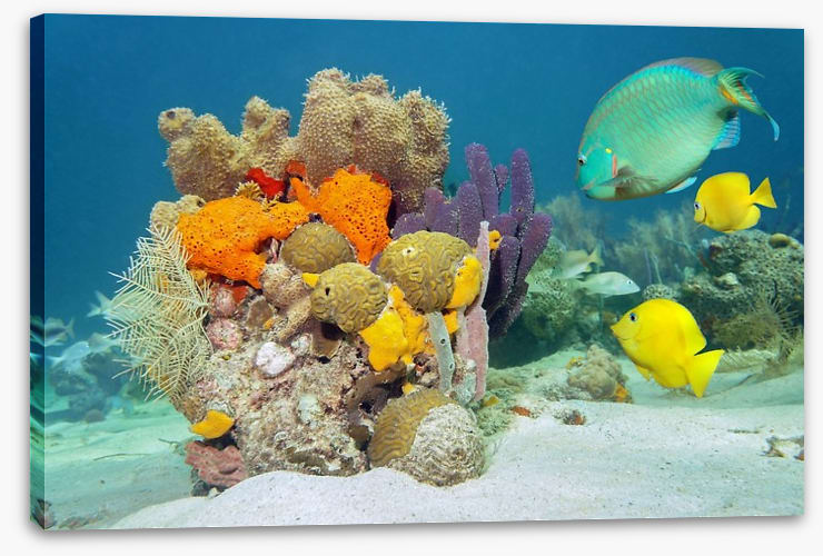 Underwater