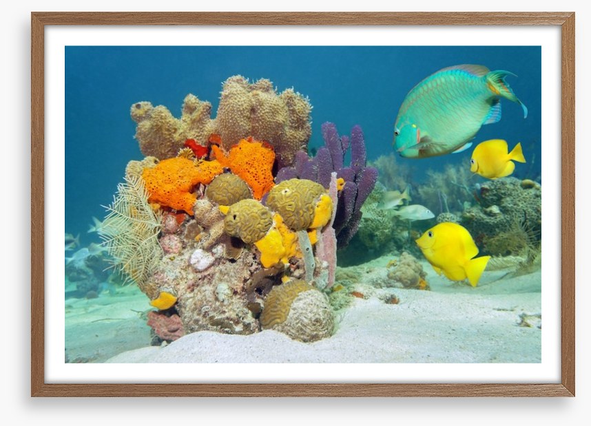 Underwater