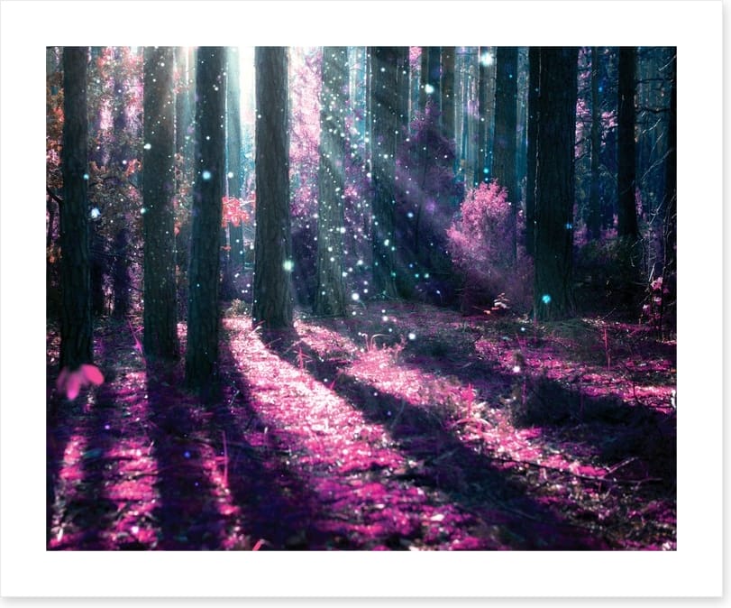 Deep in the magical forest