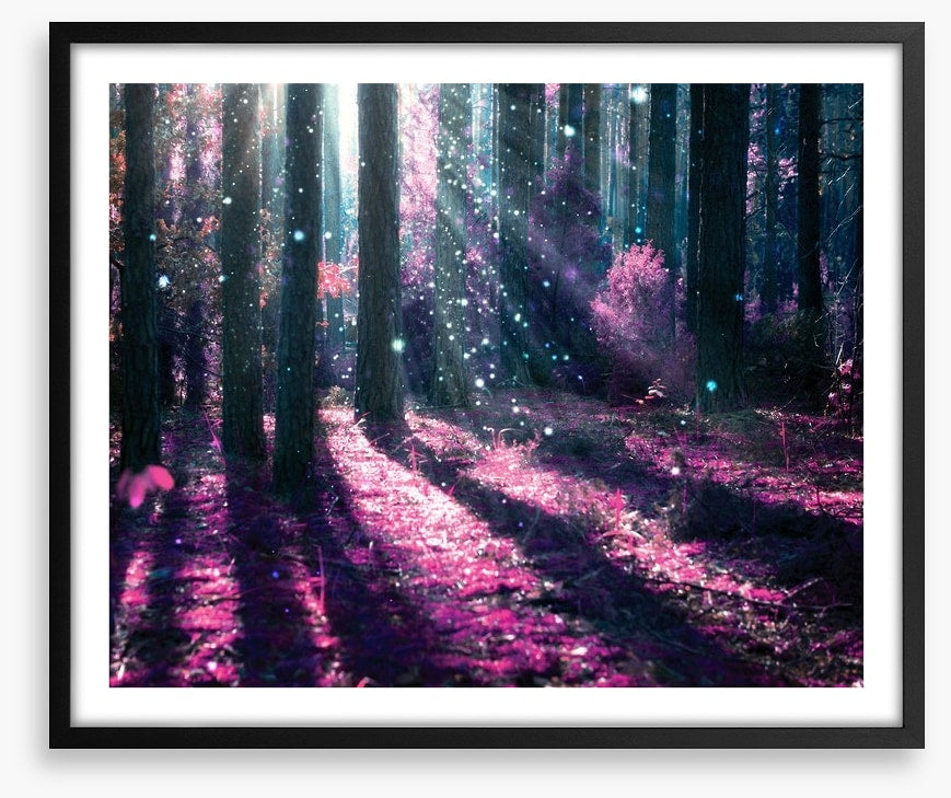 Deep in the magical forest