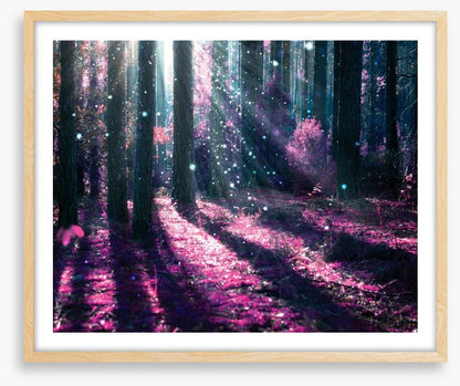 Deep in the magical forest