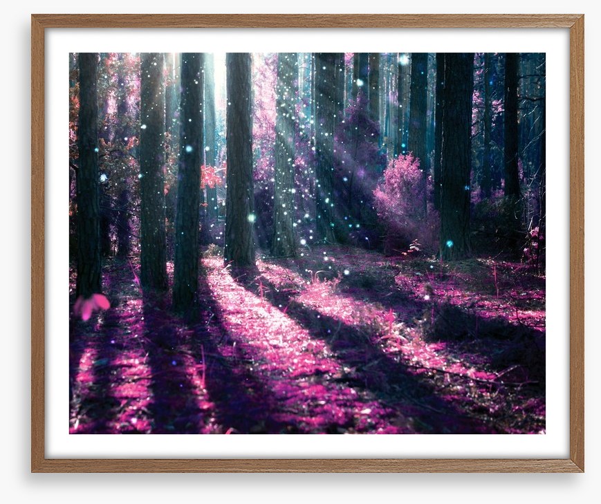 Deep in the magical forest