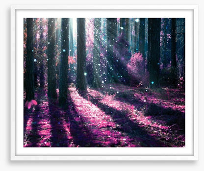 Deep in the magical forest