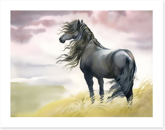 Black horse in the breeze