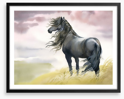 Black horse in the breeze
