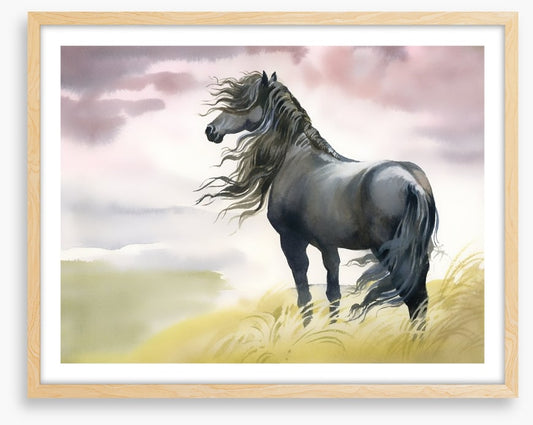 Black horse in the breeze