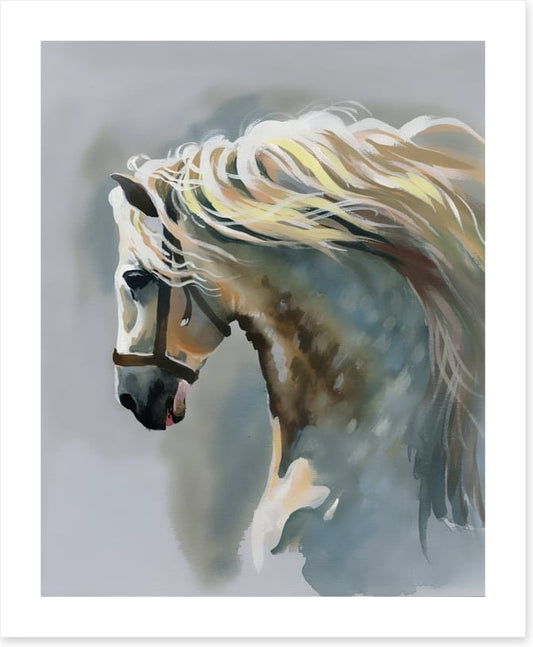 Canter