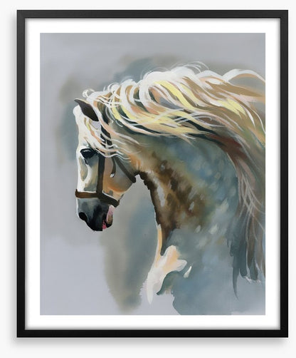 Canter