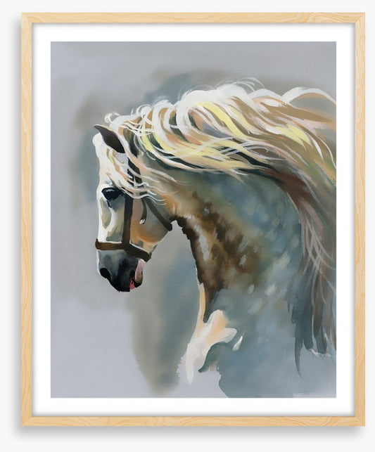 Canter