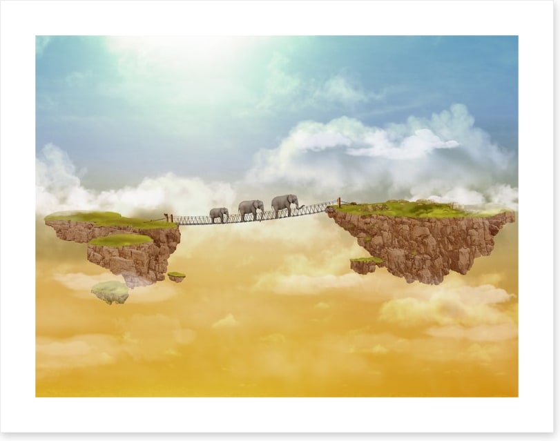 Elephants crossing