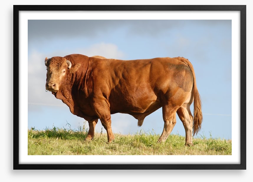 Agriculture